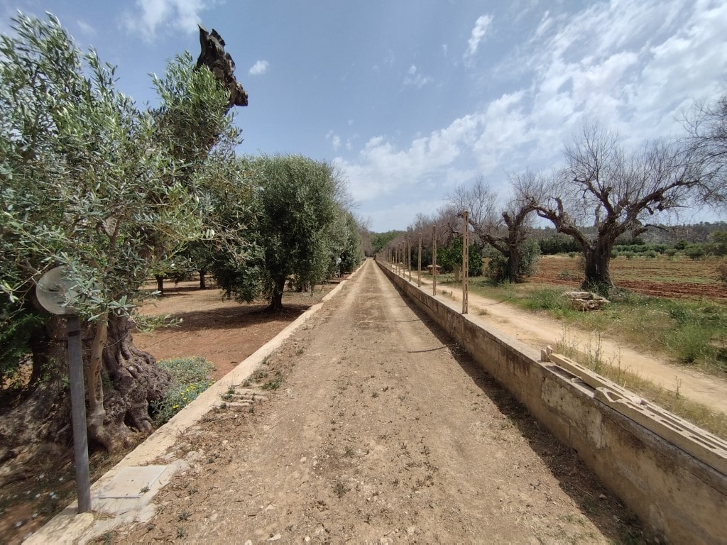 Giano Group Immobiliare